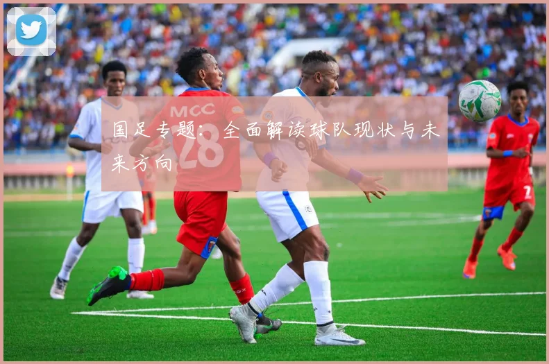 国足专题:全面解读球队现状与未来方向